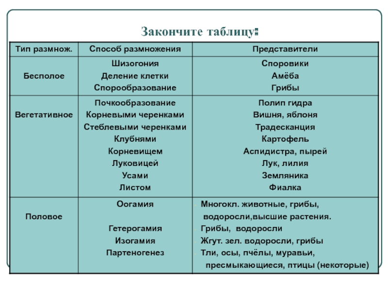 Официальная ссылка на blacksprut 1blacksprut me