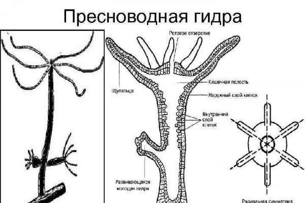 Код 2fa blacksprut подтверждения