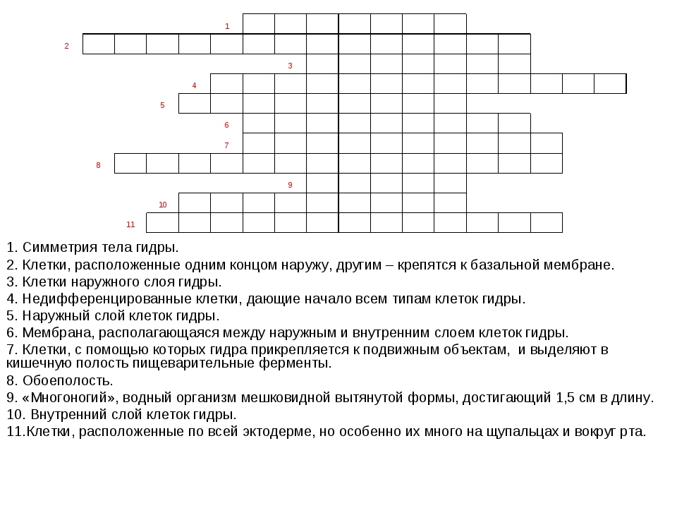 Блэк спрут бот телеграмм